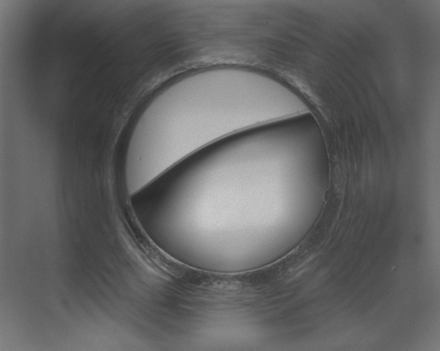X0000070160631200605260939