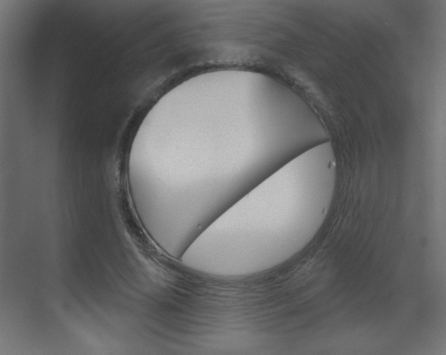 X0000070160636200605260939