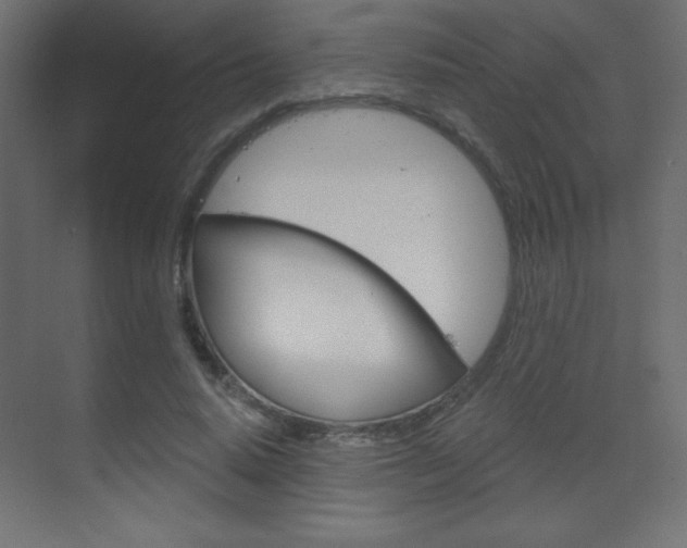 X0000070160640200605260940