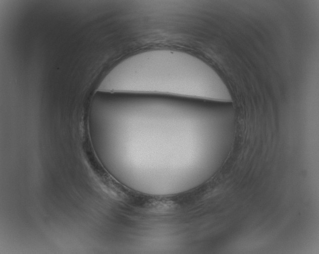 X0000070160642200605260940