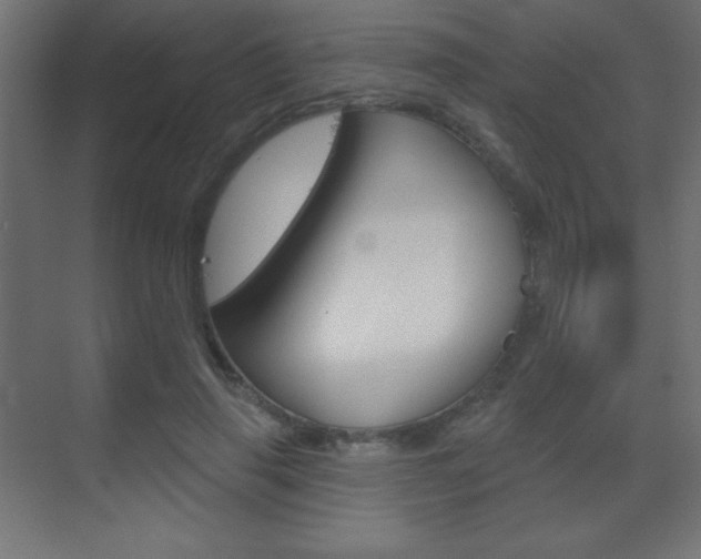 X0000070160645200605260940