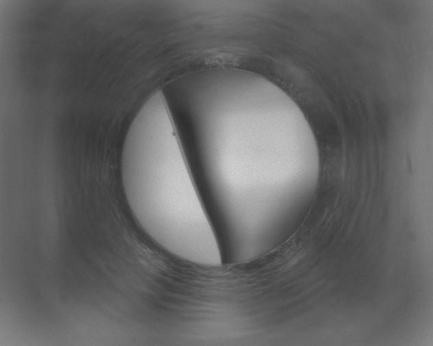 X0000070160649200605260940