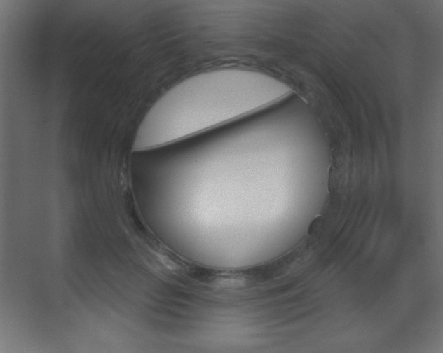 X0000070160653200605260940