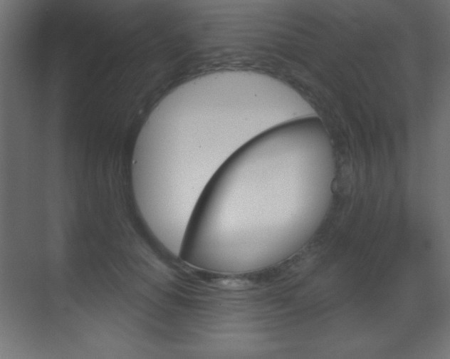 X0000070160654200605260940