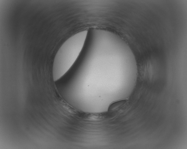 X0000070160657200605260940