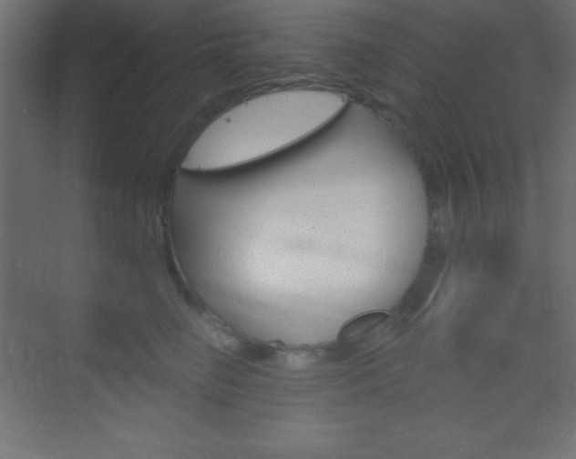 X0000070160662200605260940