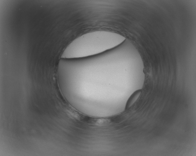 X0000070160663200605260940