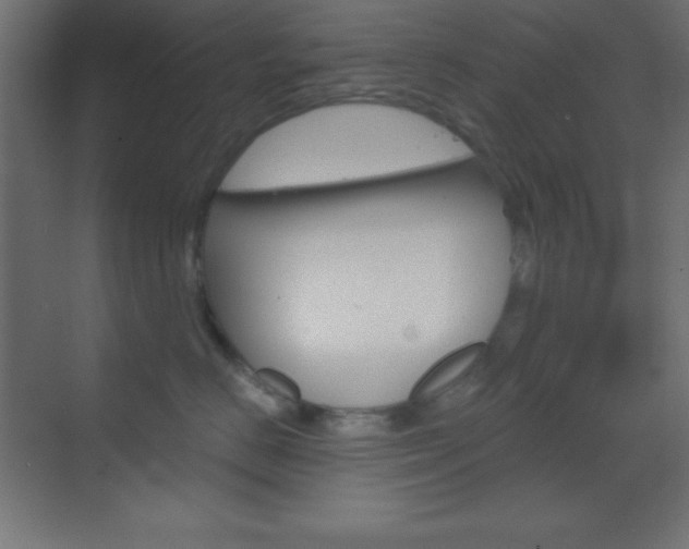 X0000070160670200605260940