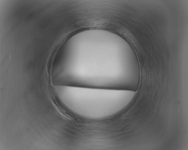 X0000070160674200605260939