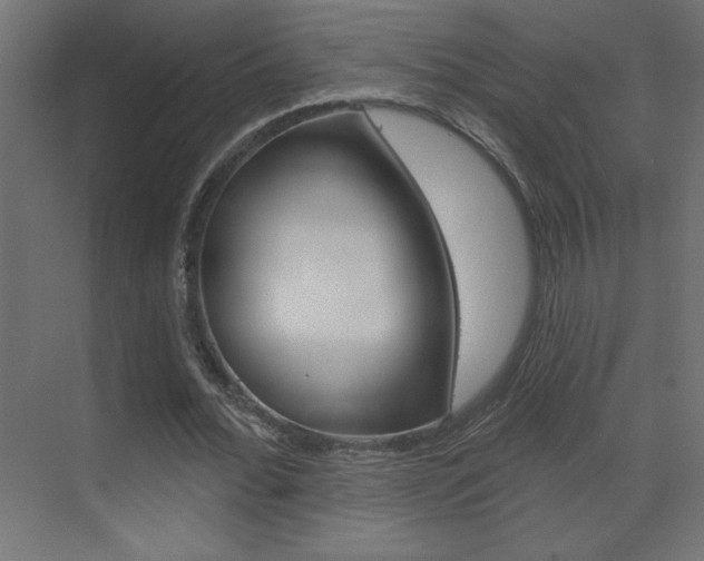 X0000070160676200605260939