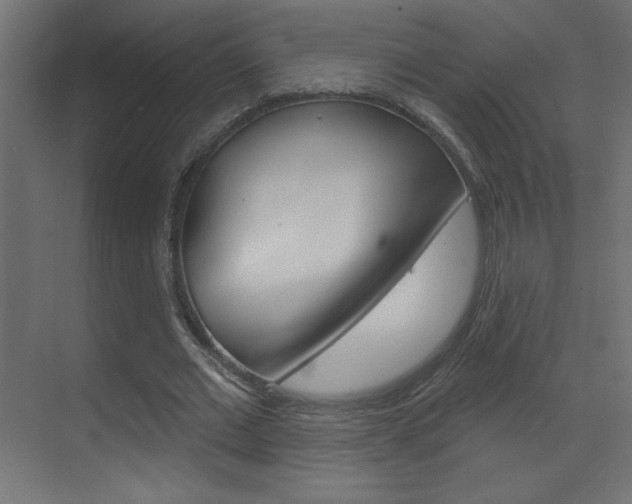 X0000070160677200605260939