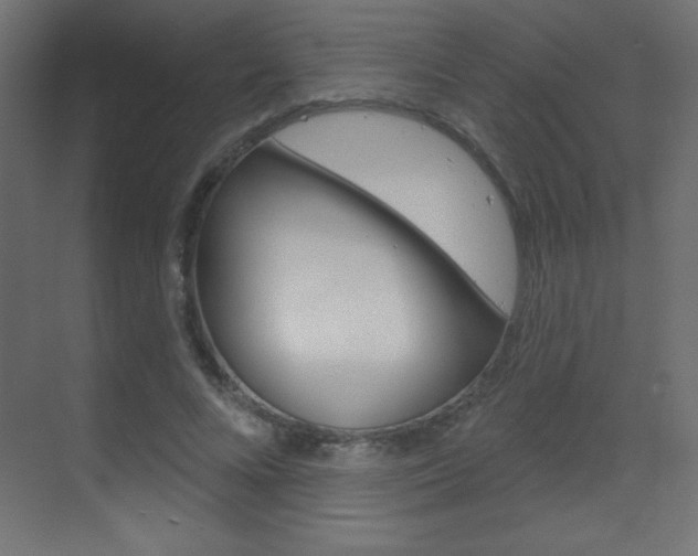 X0000070160688200605260939