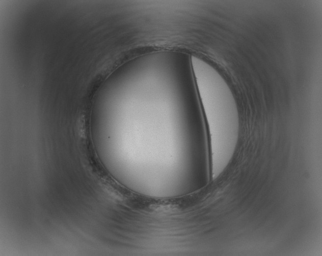 X0000070160689200605260939