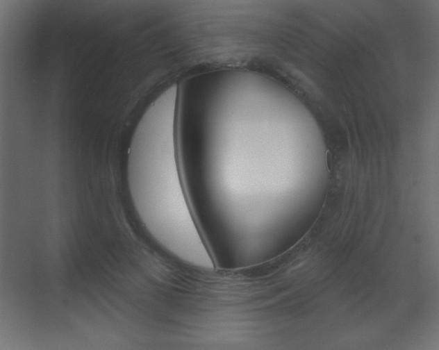 X0000070160693200605260939