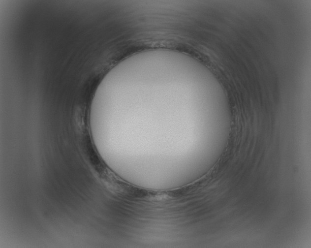 X0000070160695200605260939