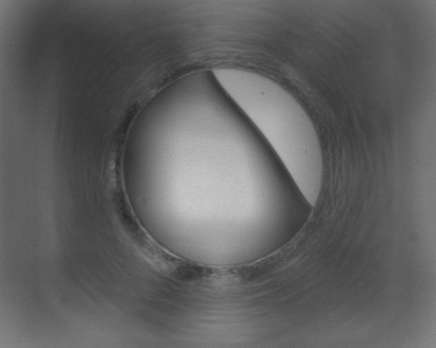 X0000070160696200605260939