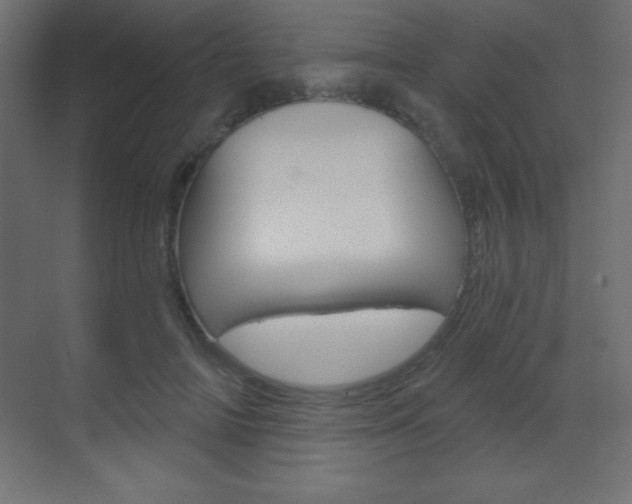 X0000070160698200605260939