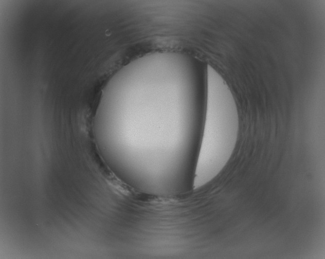 X0000070160712200605260939