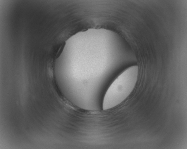 X0000070160719200605260939