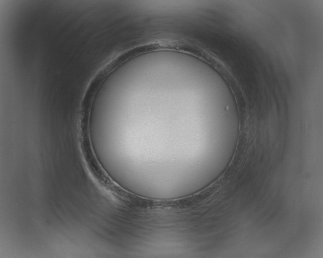 X0000070160730200605260938