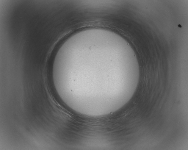 X0000070160731200605260938