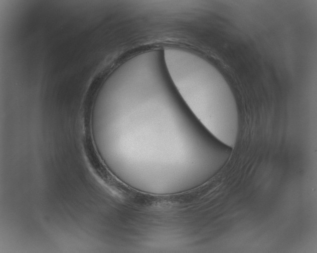 X0000070160734200605260938