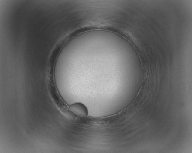 X0000070160736200605260938