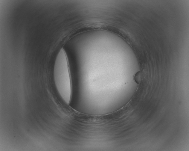 X0000070160739200605260938