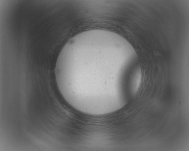 X0000070160750200605260938