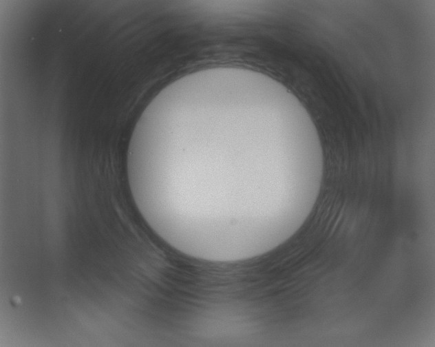 X0000070160755200605260938