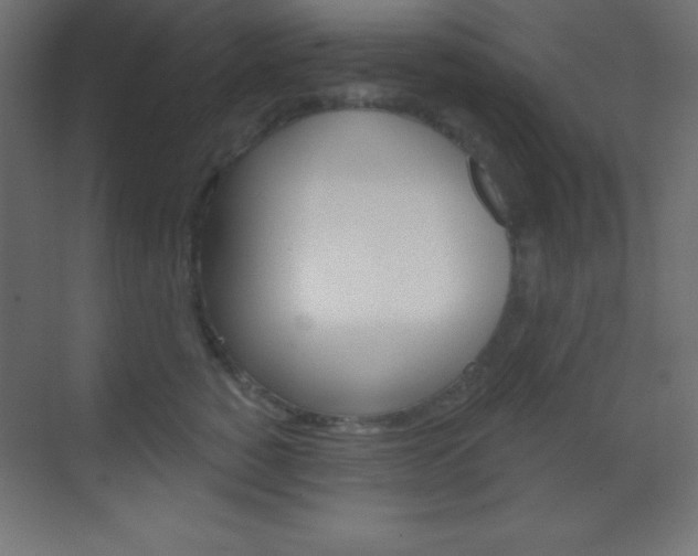 X0000070160760200605260938