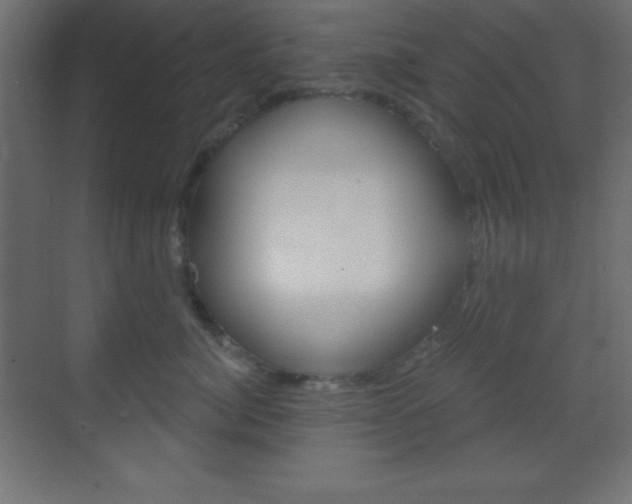 X0000070160764200605260938