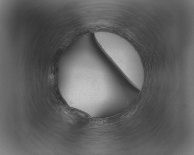 X0000070160771200605260938