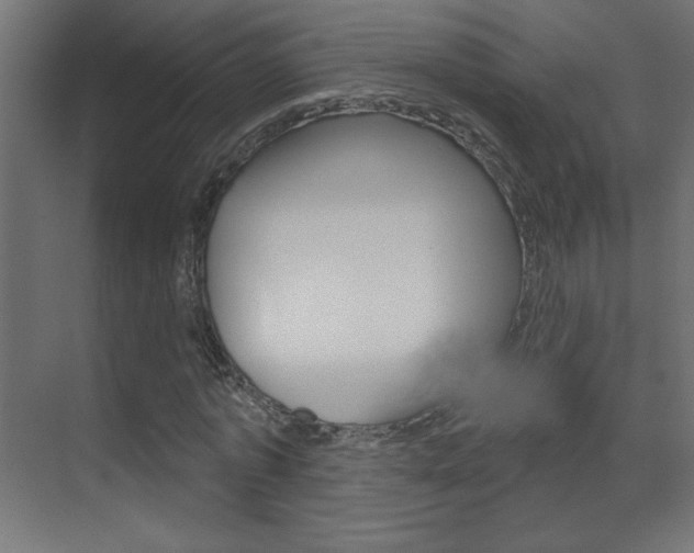 X0000070160773200605260938