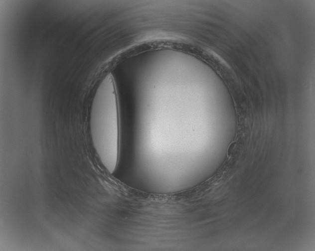 X0000070160775200605260938