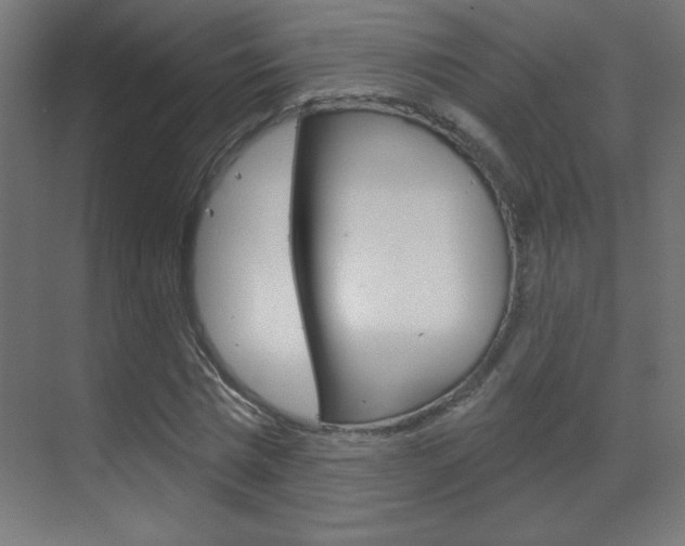 X0000070160777200605260938