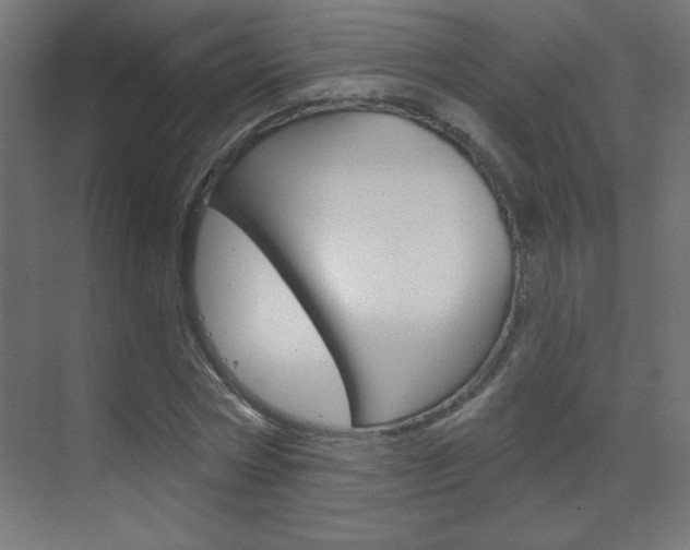 X0000070160778200605260938