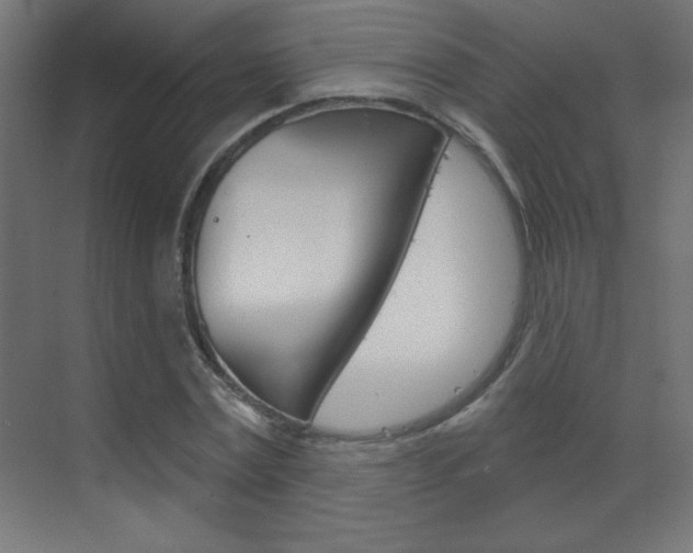 X0000070160779200605260938