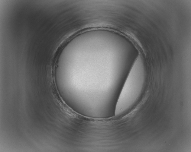 X0000070160781200605260937