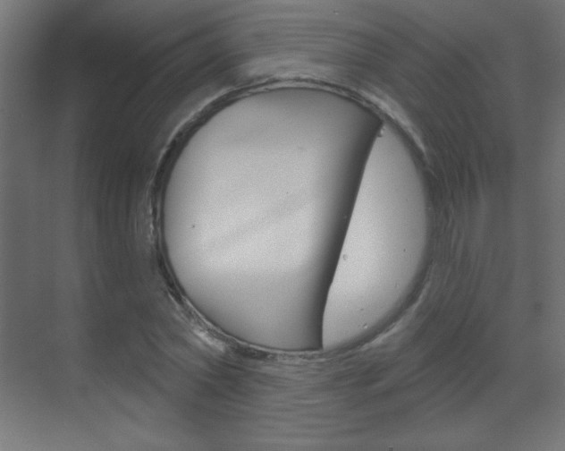 X0000070160782200605260937