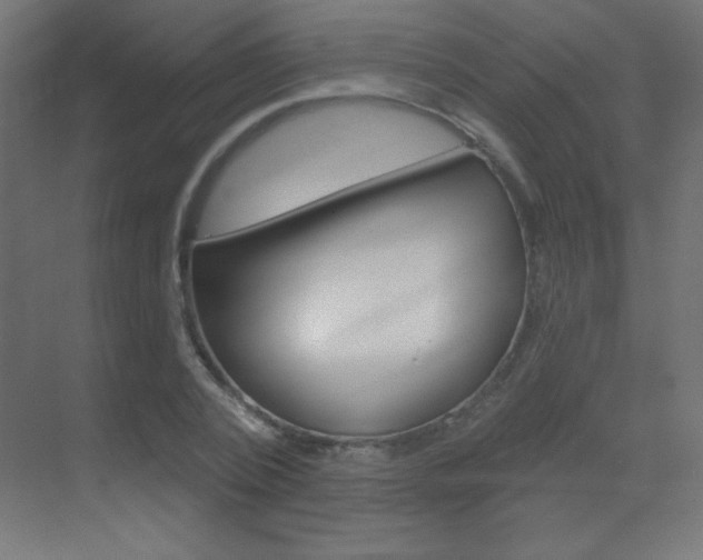 X0000070160784200605260937
