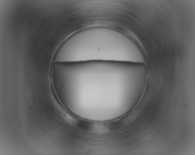 X0000070160794200605260937