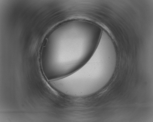 X0000070160799200605260937