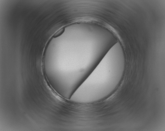 X0000070160802200605260937