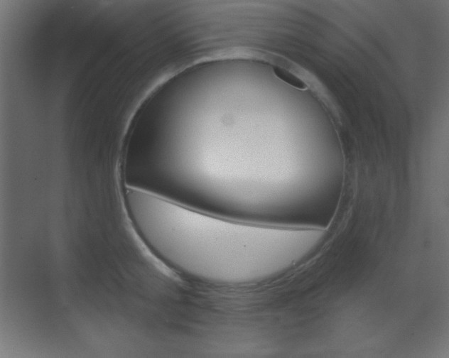 X0000070160805200605260937