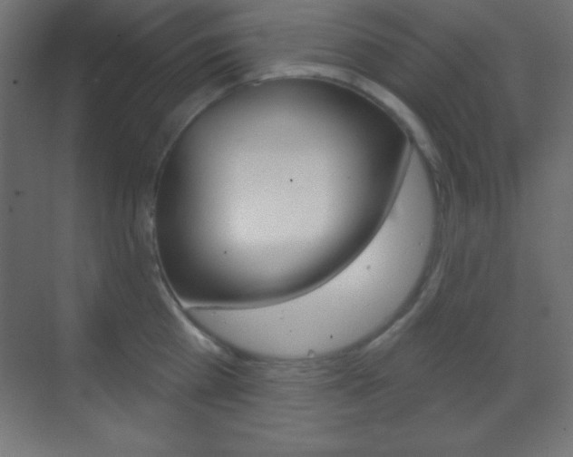 X0000070160809200605260937