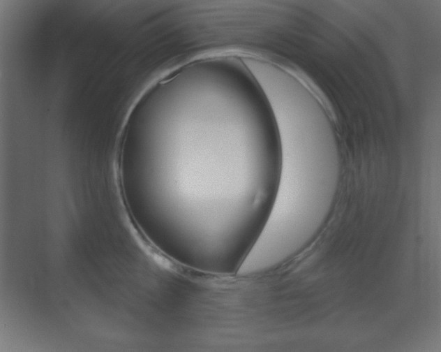 X0000070160813200605260937