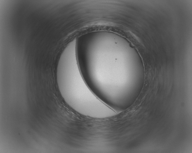 X0000070160821200605260936
