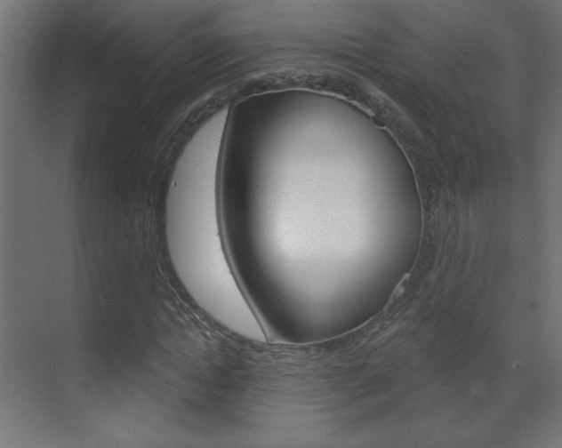 X0000070160822200605260936