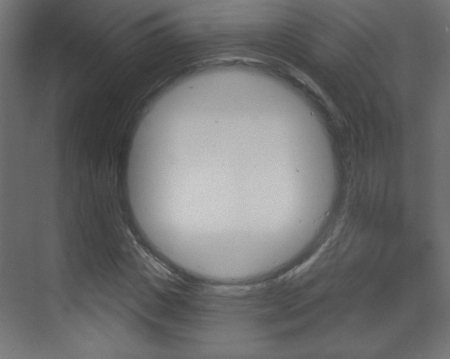 X0000070160825200605260936